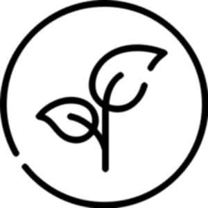 Organik Kuru Temizleme